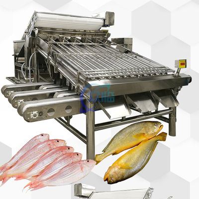 قیمت خوب ماشین دسته بندی ماهی اتوماتیک 4900W ضد فرسایش چند منظوره آنلاین