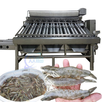 قیمت خوب دستگاه درجه بندي ميگو ضد فرسودگي ضد روغن ثابت وزن 1500 کيلوگرم آنلاین