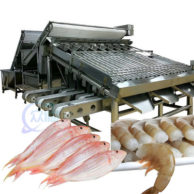 قیمت خوب دستگاه دسته بندی غذاهای دریایی ایزو 1500 کیلوگرم، دسته بندی کننده اندازه ماهی چند منظوره آنلاین