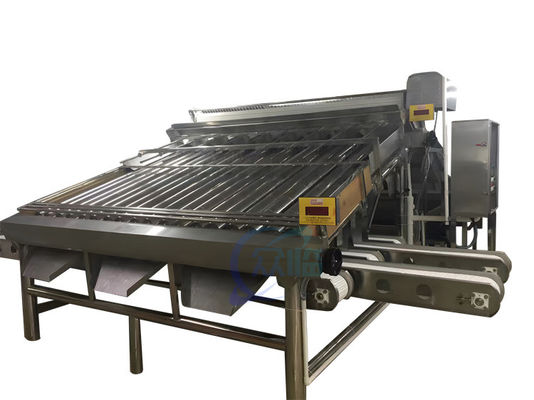 قیمت خوب دستگاه درجه بندي ميگو با قدرت ۴٫۹ کيلووايت آنلاین