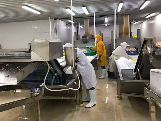 Automatic Fish Processing Plant Equipment Stable Multi Function