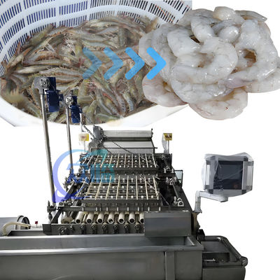قیمت خوب SUS304 PLC Shrimp Peeling Machine چند منظوره 3600x2260x2200mm آنلاین
