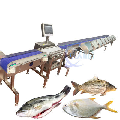 قیمت خوب ماشین دسته بندی وزن ماهی کاملا اتوماتیک ماشین حمل مواد غذایی ترازو آنلاین