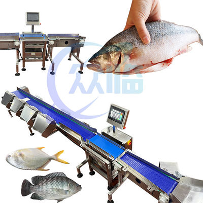 قیمت خوب دستگاه اندازه گیری ماهی تجاری واحد وزن 1g-3g درجه بندی Pangasius آنلاین