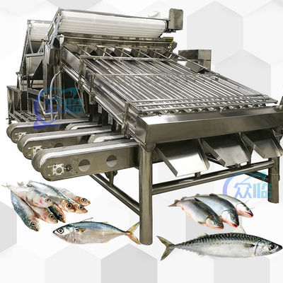 قیمت خوب دستگاه طبقه بندی ماهی برای ماهی های کوچک و تجهیزات طبقه بندی ماهی سیستم طبقه بندی آنلاین