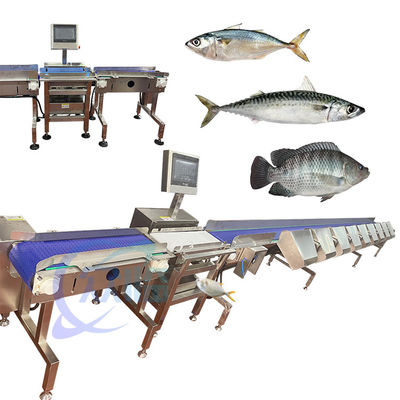 چین تخصصی Crap Fish Grader Crap Fish Sorter Crap Fish Sizter Crap Fish Classify