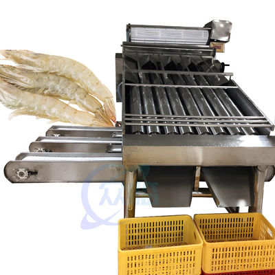قیمت خوب تجهیزات پردازش غذاهای دریایی و میگو دستگاه انتخاب مشخصات ماهی و میگو از جنس استنلس استیل 304 آنلاین