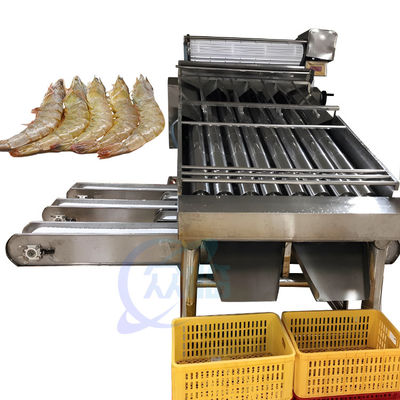 تجهیزات فرآیند غذاهای دریایی دستگاه درجه بندی میگو شستشوی میگو دستگاه درجه بندی شستشوی میگو خط تولید میگو