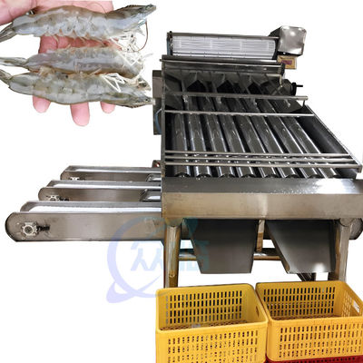 قیمت خوب تجهیزات فرآیند غذاهای دریایی دستگاه درجه بندی میگو دستگاه مرتب سازی خودکار میگو برای پوست کندن میگو آنلاین
