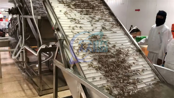 Farmed shrimp harvest rapid sorting and size specification machine Shrimp sorting machine