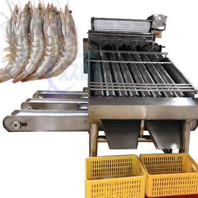 قیمت خوب ماشین تمیز کردن و طبقه بندی میگو ماشین دسته بندی خودکار میگو ماشین دسته بندی سفارشی میگو بر اساس نیاز آنلاین