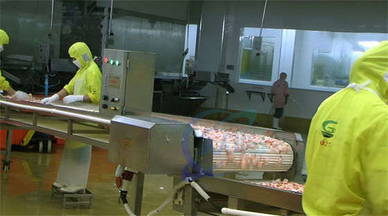 Seafood processing factory large batch fish and shrimp poaching machine Sushi Shrimp Production Line Steam oven machine