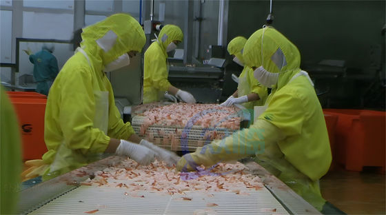 Seafood processing factory large batch fish and shrimp poaching machine Sushi Shrimp Production Line Steam oven machine