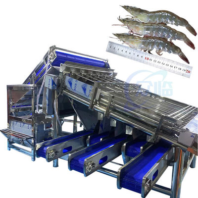 قیمت خوب ماشین دسته بندی صدف ها ماشین تمیز کردن و دسته بندی صدف ها، خرد کردن خودکار صدف ها، پاک کردن صدف ها و جدا کردن رشته ها آنلاین