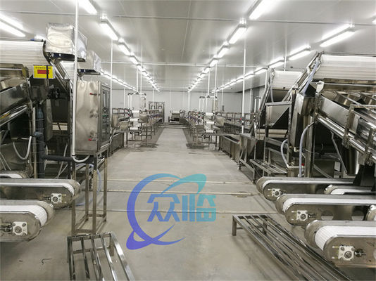 Fresh shrimp grading machine electric shrimp size sorting machine multifunctional fish and shrimp screening machine