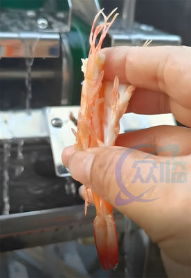 قیمت خوب فروش داغ دستگاه برش میگو میگو EBI کاتر شکم برش میگو آنلاین