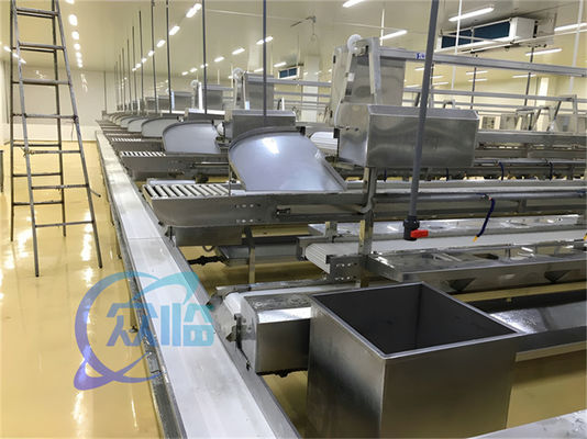 قیمت خوب 1506kg خط تولید غذاهای دریایی فولاد ضد زنگ کارگاه سفارشی خط پردازش ماهی و خرچنگ کمربند حمل کننده آنلاین