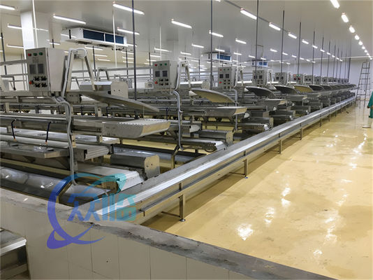 قیمت خوب 3.10KW خط انتقال ماهی پردازش ماهی خط تولید ماهی پاکسازی ماهی ماهی پوست آنلاین