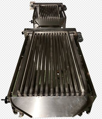 Four Models Automatic Fish Sorting Machine And Sizing Small Croaker High Stable