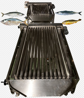 Four Styles Automatic Pelagic Fish Classifying Line And Sorting Small Fish Line