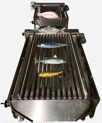 Four Styles Automatic Fish Sizing Line And Grading Mackerel Line With High Speed