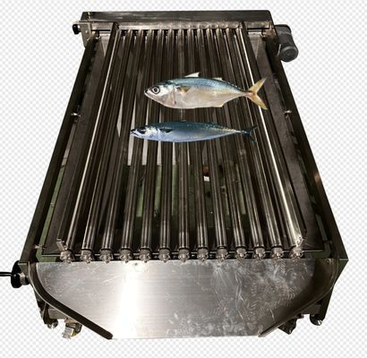 Four Models Automatic Fish Sizing Machine And Soring Yellow Croaker High Stable