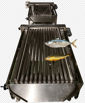 High Quality PLC Control Fish Grading Line For Sorting Small Fish With Automatic