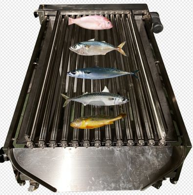 Four Models Automatic Fish Processing Line And Sorting Small Fish Line With 5-10T/H
