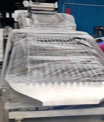 قیمت خوب دستگاه تصنيف ماهي هاي کنترل شده توسط PLC براي تصنيف ماهي هاي كوچك با اتوماتيك آنلاین