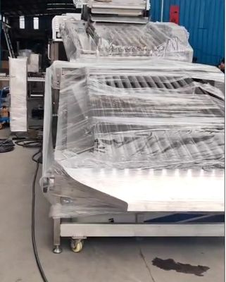 Four Models Automatic Fish Sizing Machine And Soring Yellow Croaker High Stable