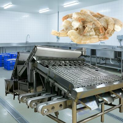 قیمت خوب ماشین درجه بندی کبریت با رول با دوام 1500kg-2000kg/H ماشین طبقه بندی کبریت با رول با رول با ثبات بالا برای غذاهای دریایی آنلاین