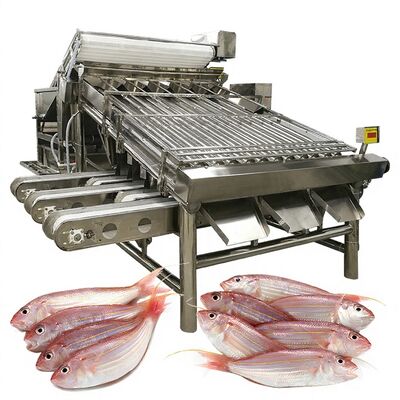 قیمت خوب ماشین دسته بندی ماهی کارآمد ماشین اندازه گیری ماهی و ماشین مشخصات ماهی 1000kg-1200kg ماهی دسته بندی برای پردازش ماهی آنلاین