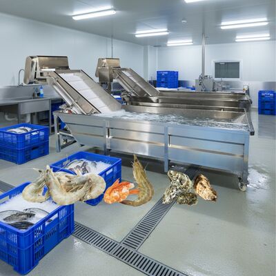 قیمت خوب ماشین لباسشویی حباب زولین برای غذاهای دریایی 2.2 کیلووات ماشین تمیز کردن ماهی ماشین لباسشویی هوشمند میگو برای کارخانه فرآوری غذاهای دریایی آنلاین
