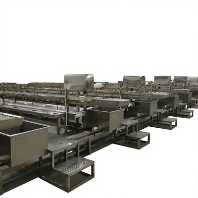 قیمت خوب خط تولید کباب ها خط تولید کباب ها خط تولید کباب ها خط تولید کباب ها آنلاین