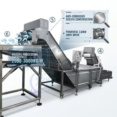 قیمت خوب Heavy Duty Shrimp Deheading Production Line Precision SUS316 1000-1500KG 11.7KW 415V آنلاین
