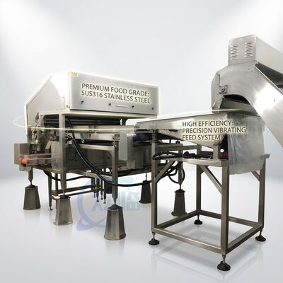 قیمت خوب Stainless Steel Shrimp Head Removal Machine SUS316L 500-800KG 5.5KW 60Hz For Shrimp Processing Plant آنلاین