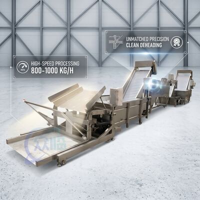 قیمت خوب SUS316 Shrimp Deheading System Food Grade SUS304 800-1000KG 3.0KW 415V For Fish Processing Plant آنلاین