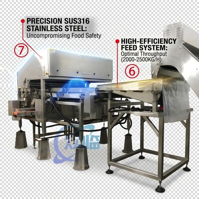 قیمت خوب Rugged Shrimp Head Separator SUS304 Stainless Steel 800-1000KG 15KW 440V For Shrimp Processing Plant آنلاین