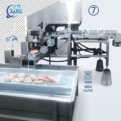 قیمت خوب High Output Shrimp Processing Machine Hygienic SUS304 500-800KG 0.8KW 220V For Seafood Export Company آنلاین