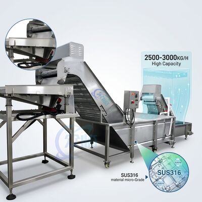 قیمت خوب Multiscene Shrimp Deheading Sorting Machine SUS304 Stainless Steel 1500-2000KG 3.0KW 380V آنلاین