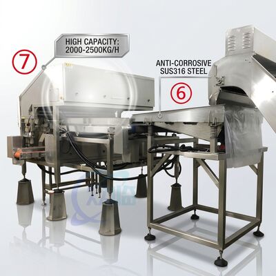 قیمت خوب Efficient Shrimp Deheading Production Line Precision SUS316 1500-2000KG 7.5KW 415V آنلاین