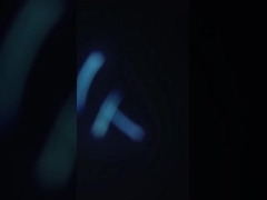 ماشین تمیز کردن آبنبات های دریایی 380 ولت ضد خوردگی